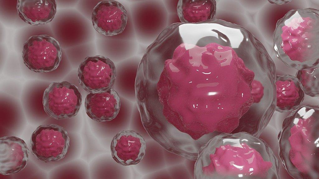 Descubren un nuevo método para regular la plasticidad celular