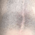 Un catalán que padece cáncer logra recaudar la cantidad necesaria para pagar su tratamiento capilar 