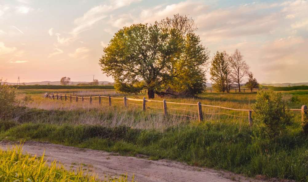 Apoya la producción rural sostenible en tus compras navideñas