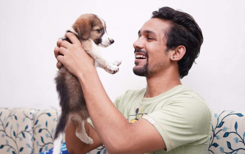 España considerará a los animales «seres vivos dotados de sensibilidad»