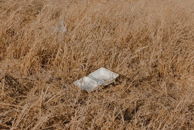 Grupos de voluntarios recogerán basuraleza en lugares naturales de España el próximo 12 de junio