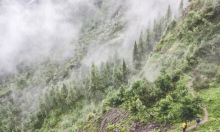 Una selva tropical de Perú lleva inalterada 5.000 años gracias a poblaciones indígenas