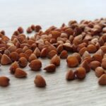 La proteína vegetal ayuda a ampliar la oferta gastronómica de una gran cadena de restaurantes