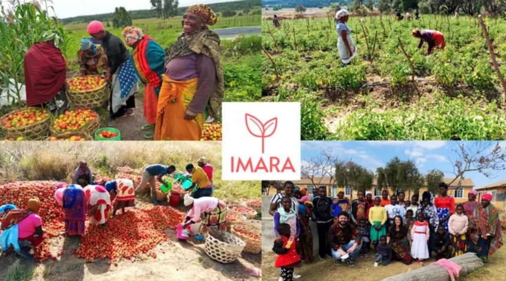 IMARA 2, una cooperativa agraria para mujeres en Tanzania 