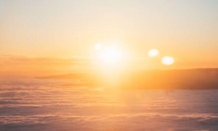 Manifiesto Salida razonable COVID