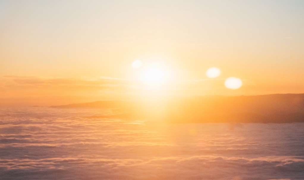 Manifiesto Salida razonable COVID