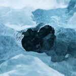 Hallan casi 80 especies viviendo a 200 metros bajo el hielo de la Antártida