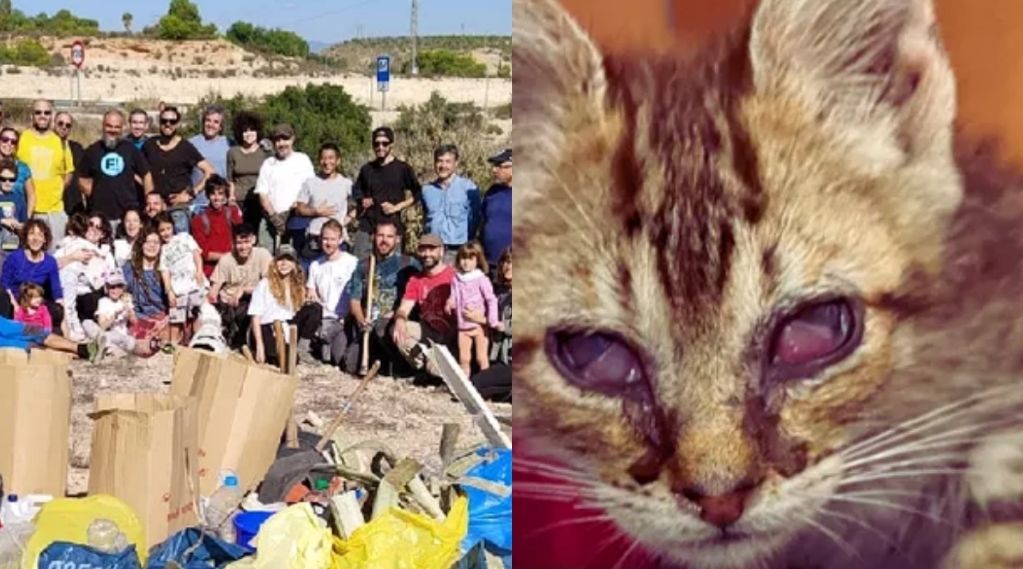 Solidaridad española para la continuidad de proyectos medioambientales y refugio animal 