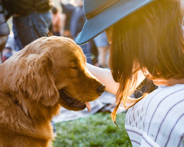 Un juzgado de Oviedo, pionero al considerar a un perro como un ser dotado de sensibilidad para ejecutar su tenencia