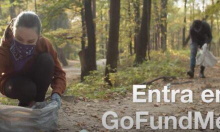 El crowdfunding como estrategia para ayudar a preservar y proteger el medio ambiente 