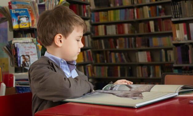 Madrid ofrece en sus bibliotecas públicas campamentos infantiles gratuitos en junio y julio