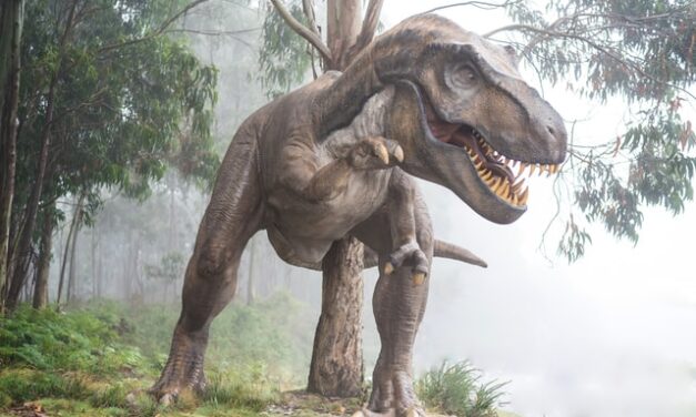 Descubren Meraxes gigas, una nueva especie de dinosaurio gigante con brazos diminutos