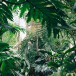 El Real Jardín Botánico pone en marcha el programa ‘Un jardín para todos’, destinado a la inclusión de colectivos vulnerables