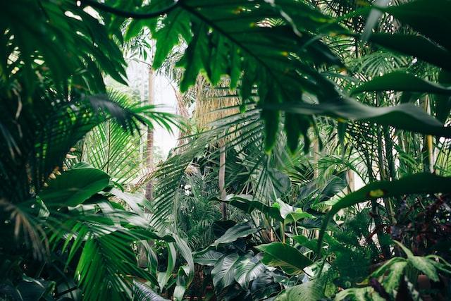 El Real Jardín Botánico pone en marcha el programa ‘Un jardín para todos’, destinado a la inclusión de colectivos vulnerables