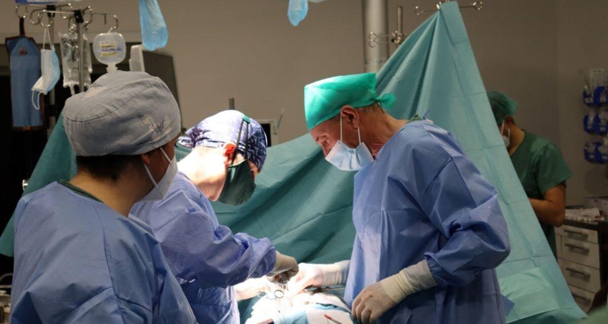 Casi 14.000 personas registradas como donantes de médula ósea en 2022