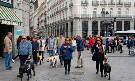 Los perros guía pasean por Madrid para reivindicar sus derechos de acceso a los lugares públicos