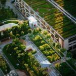 Vivir en zonas verdes se asocia con una mejor salud mental y menor consumo de medicamentos