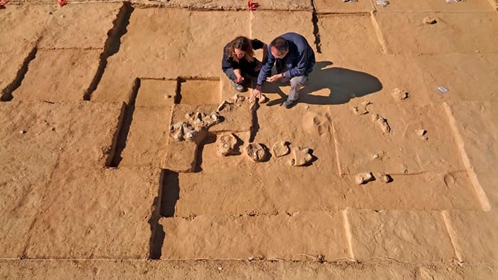 Encuentran restos de huevos de avestruz de hace 4.000 años en Israel