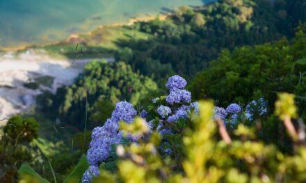 Una economía respetuosa con la biodiversidad podría generar un millón de empleos nuevos
