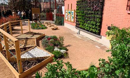 Presentan los resultados de ‘El jardín de los sueños’, el pionero jardín terapéutico para alumnos con discapacidad y problemas de salud mental