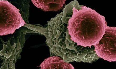 Investigan en moléculas sintéticas para atacar a las células cancerosas a través del proyecto GlyCanDrug
