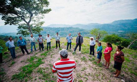 Lanzan una iniciativa para reverdecer el Corredor Seco de América Central