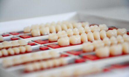 Los dientes conservan anticuerpos durante cientos de años