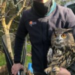 Grefa atendió a más de 7.200 animales salvajes en los últimos 12 meses