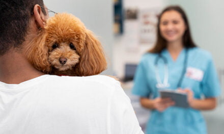 Comienza ‘Inspiradog’, un programa de terapia asistida con perros para adolescentes ingresados en Psiquiatría
