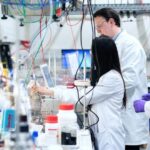 El nuevo plan de doctorados industriales duplicará el presupuesto para contratar jóvenes investigadores