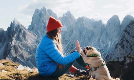 Tener perro o gato ayuda a 7 de cada 10 españoles a desconectar del móvil o el ordenador