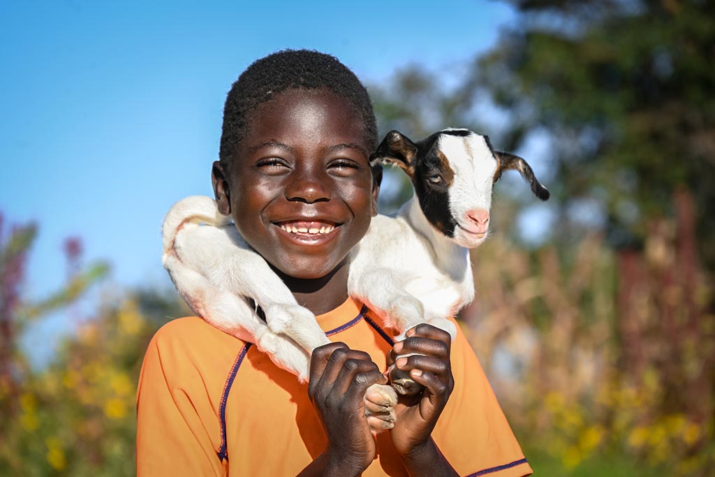 Las cabras son activos valiosos para las familias vulnerables