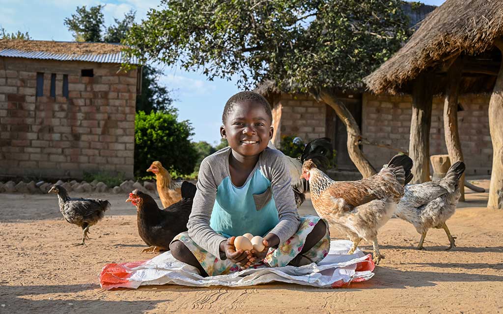 Las gallinas y los conejos se reproducen fácilmente