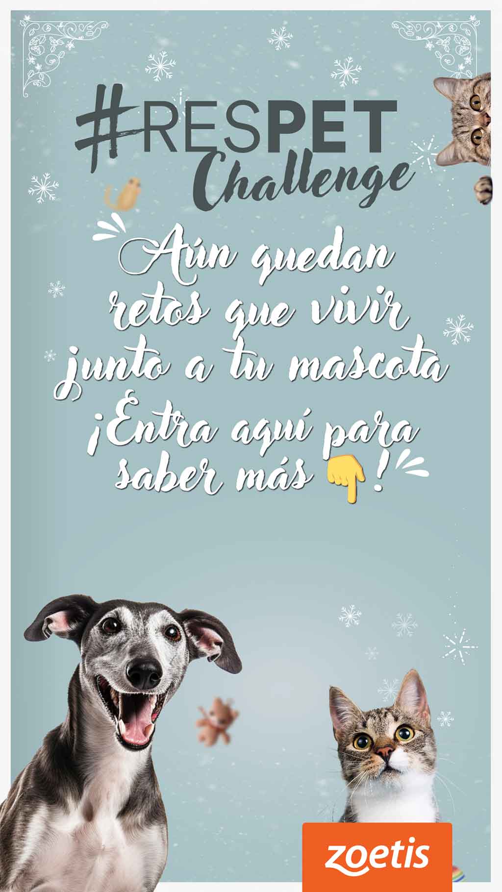 #RESPET nació a comienzos de 2020 como un movimiento vivo en el que se involucra a cuidadores de mascotas y a profesionales veterinarios