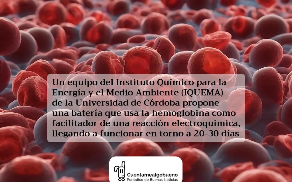 Crean una batería que funciona con hemoglobina