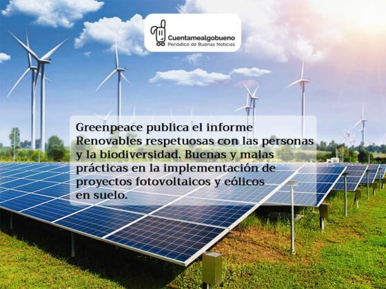 Primer estudio de buenas y malas prácticas en la implantación de energías renovables