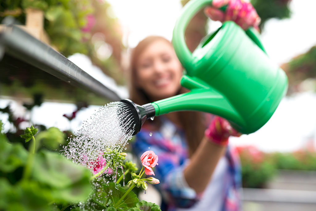El agua reutilizada se puede usar para la agricultura, la jardinería, la industria o la limpieza urbana