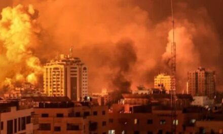 Ola de solidaridad española para familias de Gaza que necesitan ayuda urgente en medio de la guerra