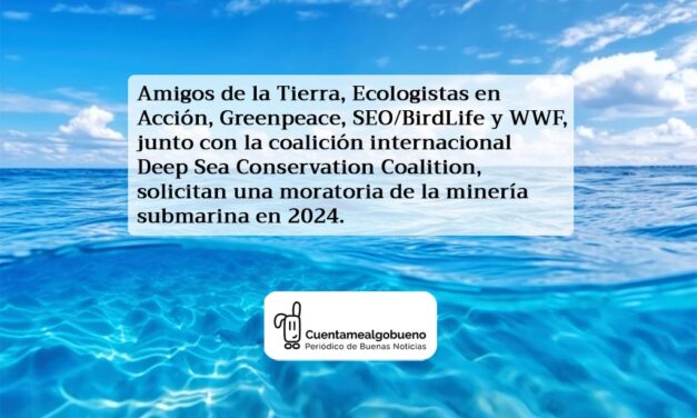 Llamamiento de las ONGs a adoptar una moratoria de la minería submarina