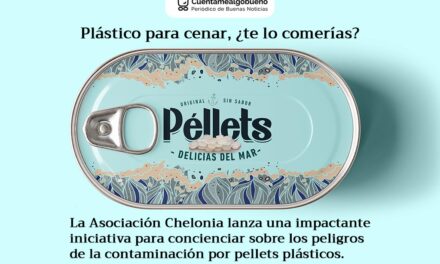 Plástico para cenar. ¿Te lo comerías?