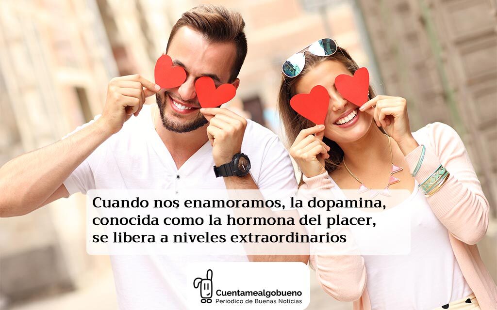 ¿Cómo funciona un cerebro enamorado?