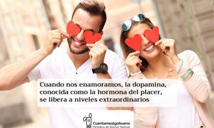 ¿Cómo funciona un cerebro enamorado?