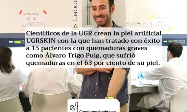 Una piel artificial revoluciona el tratamiento de las grandes quemaduras