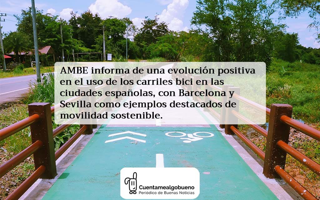 Carriles bici: una tendencia en auge