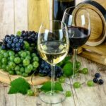 Los vinos Campo de Calatrava son DOP. ¡ QUÉ TOP !