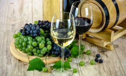 Los vinos Campo de Calatrava son DOP. ¡ QUÉ TOP !