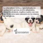 Guía para una crianza de cachorros feliz y equilibrada