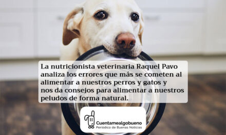 Consejos de alimentación natural para perros y gatos
