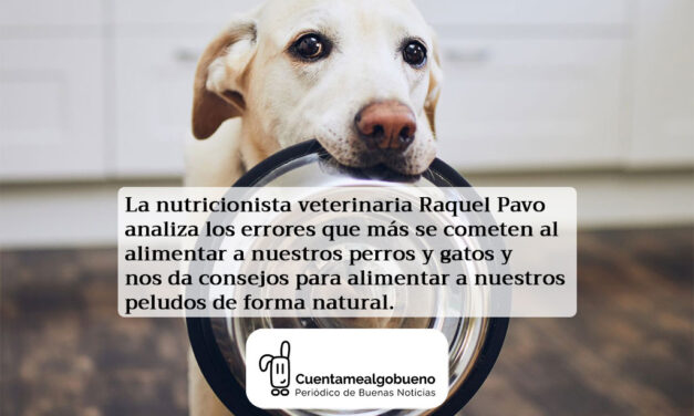 Consejos de alimentación natural para perros y gatos
