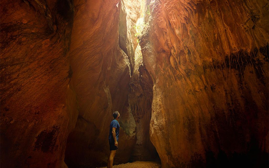 Claraboya. CAVERNA PROVOCATIVA